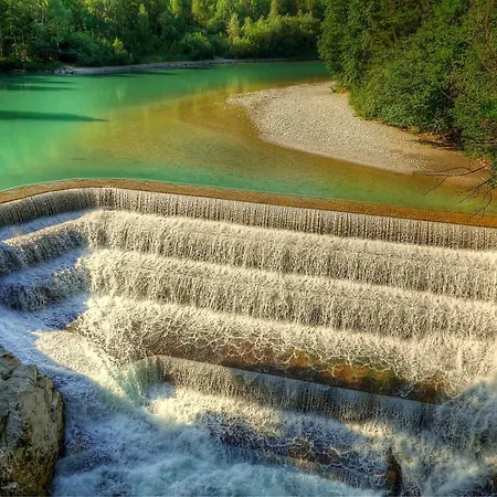 Schwanennest * Füssen